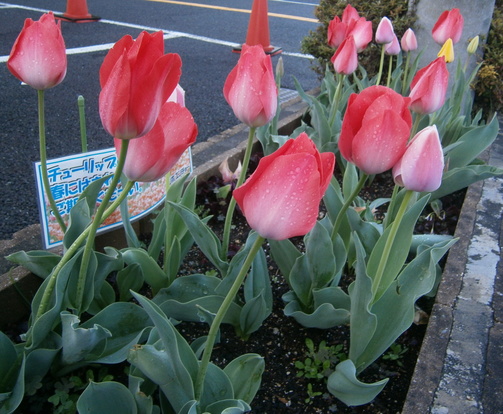 P4120057.JPG