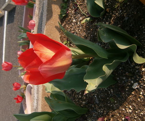 P3300046.JPG