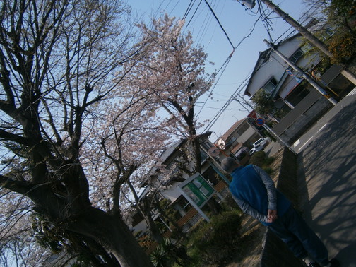 P4140069.JPG