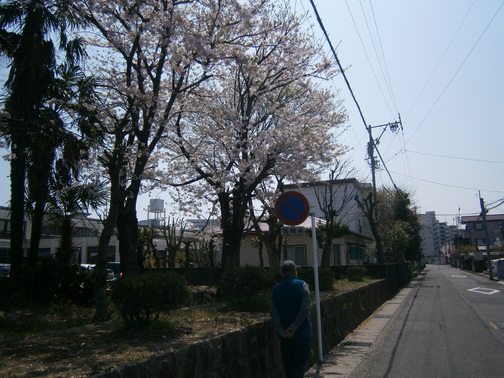 P4140071.JPG