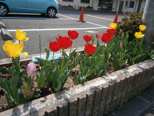 P3310063.JPG