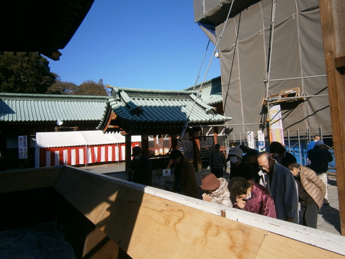 P1090384.JPG